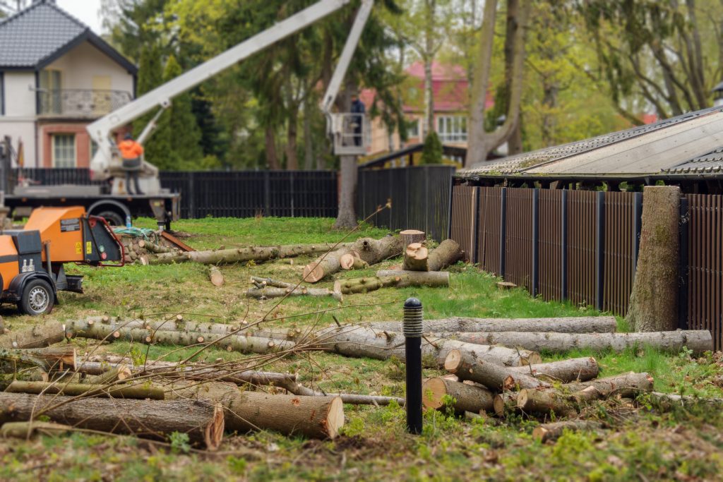 Tree removal in inwood wv